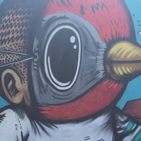 Meet your Posher, Paul - Picture 2 of 2